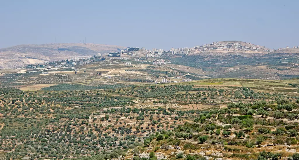 Hebron hills and olive groves Olive groves and terraced hills with buildings around Hebron
